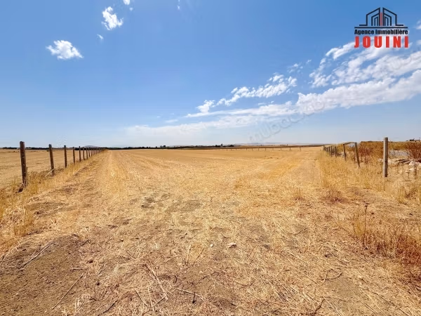 Agricultural Land of 2 Ha in El Mornaguia
