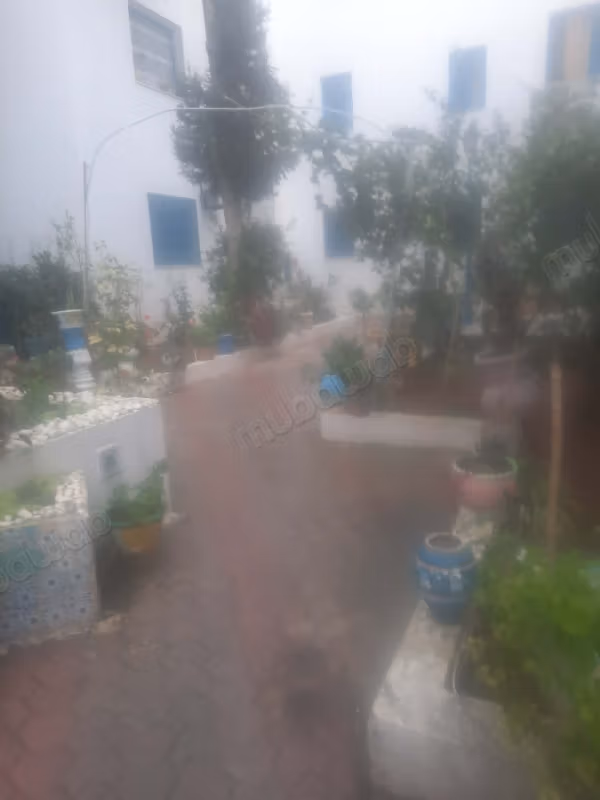Rent apartment Sidi Bousaid