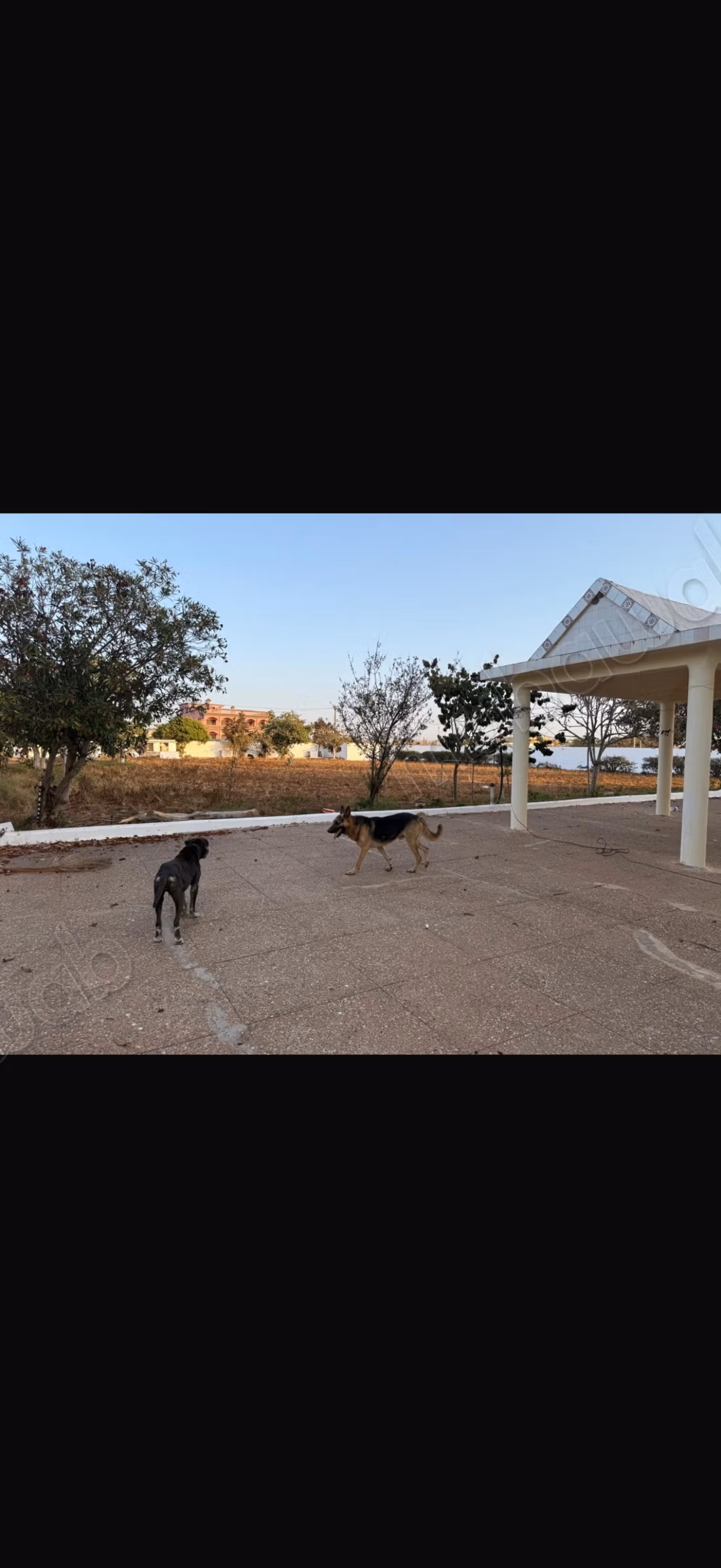 Gran Granja en alquiler Skhirat / Harhoura