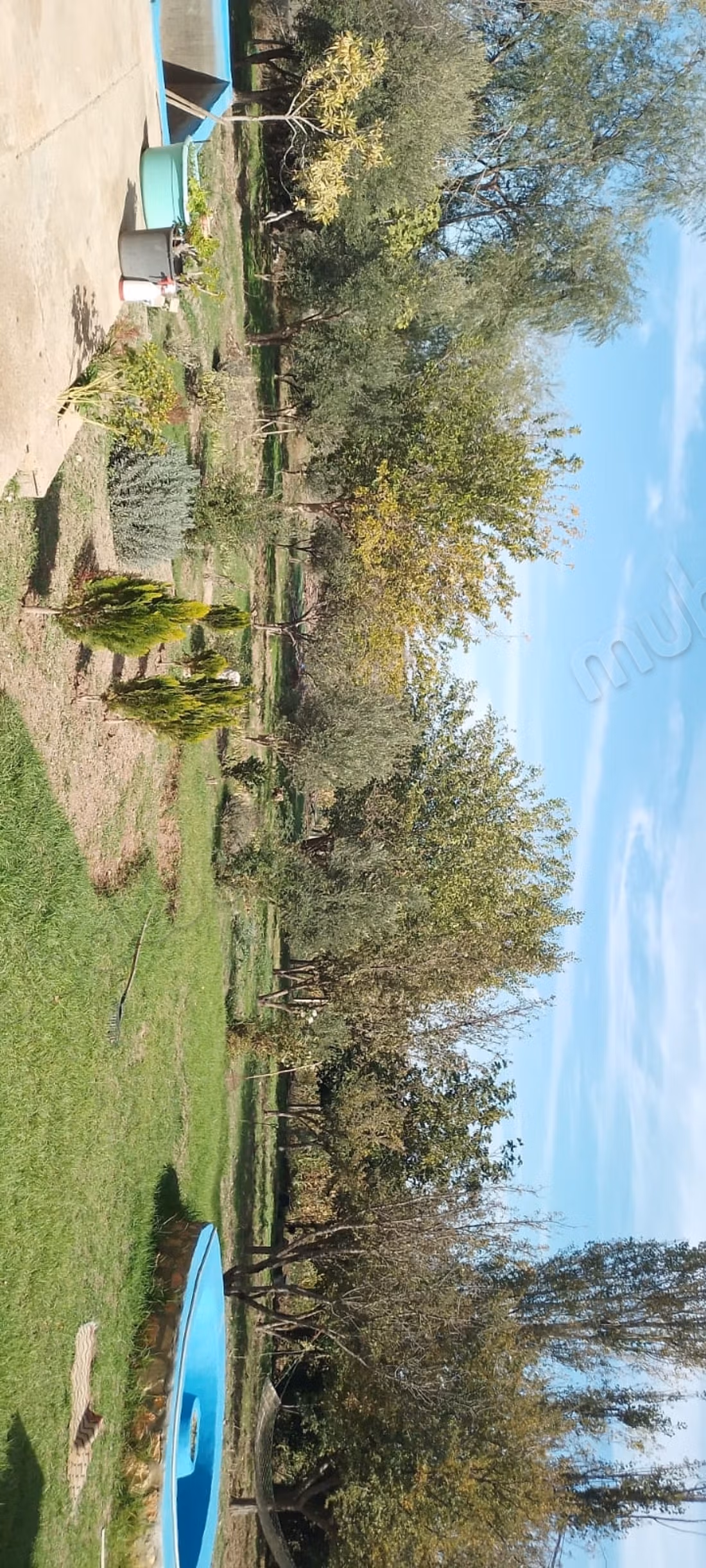 Terrain à vendre à Hajeb. Surface totale 2236 m²