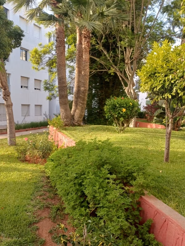 A large apartment for rent