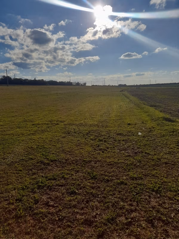 Terrain en vente à shoul sale 
Superficie 23000 m²