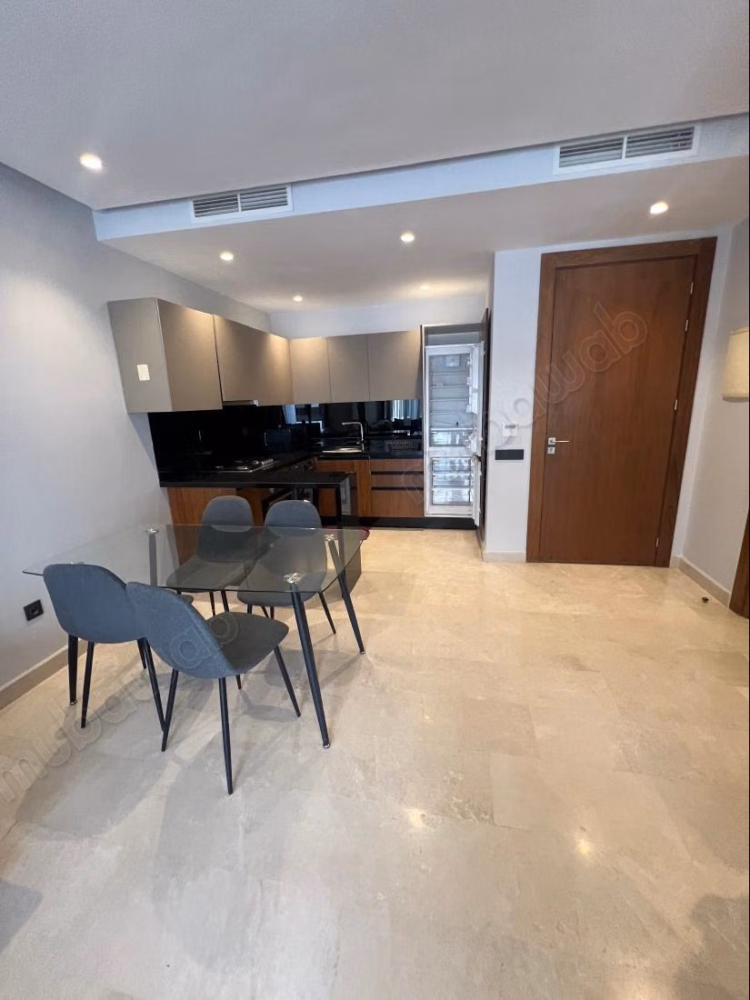 Furnished studio rental for princesses with terrace