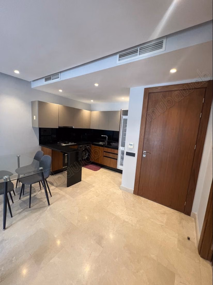 Furnished studio rental for princesses with terrace