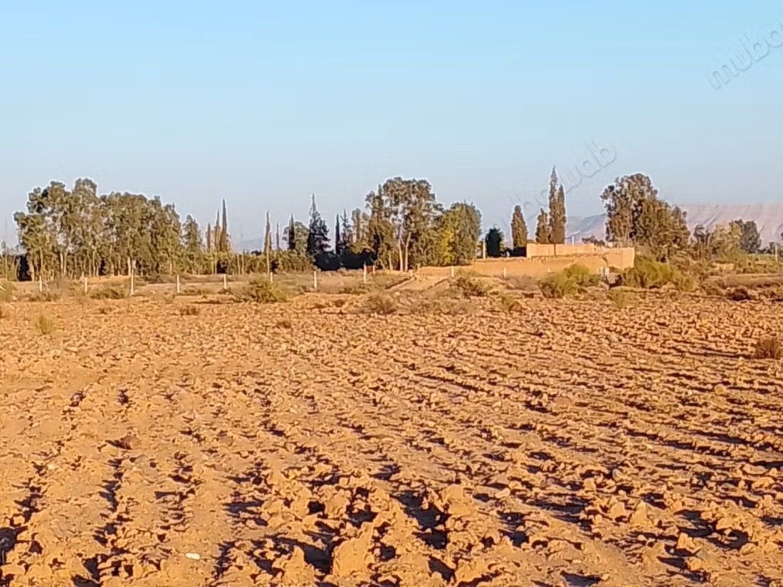 Grond van 1 hectare langs de Ourika-weg tegenover de Atlas