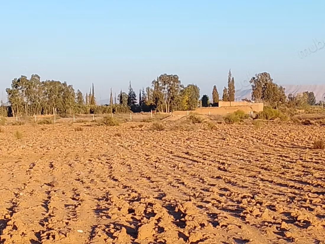 Grond van 1 hectare langs de Ourika-weg tegenover de Atlas