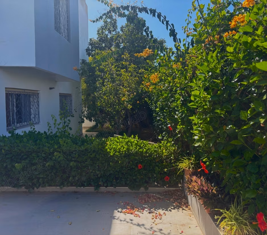 Spacious and Bright Family House