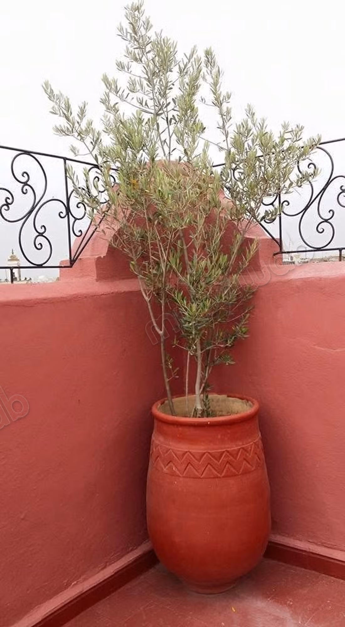 Authentic historic riad for sale, fes jdid medina