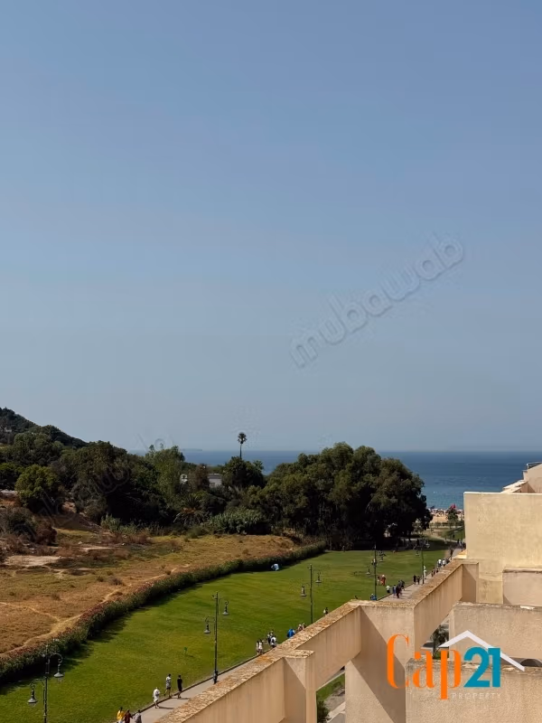Sunny and splendid apartment for sale