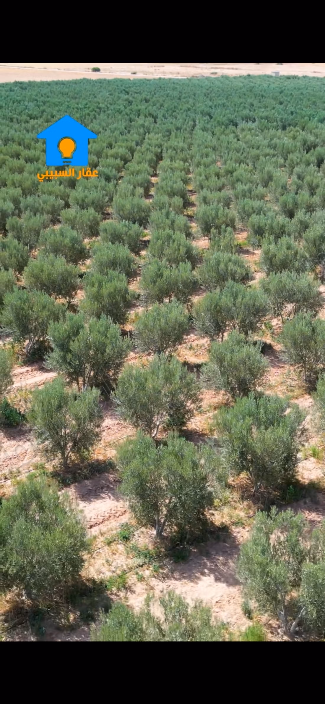 Bella fattoria in vendita nel centro della città. Superficie totale 50000 m². Sicurezza 24 ore su 24.