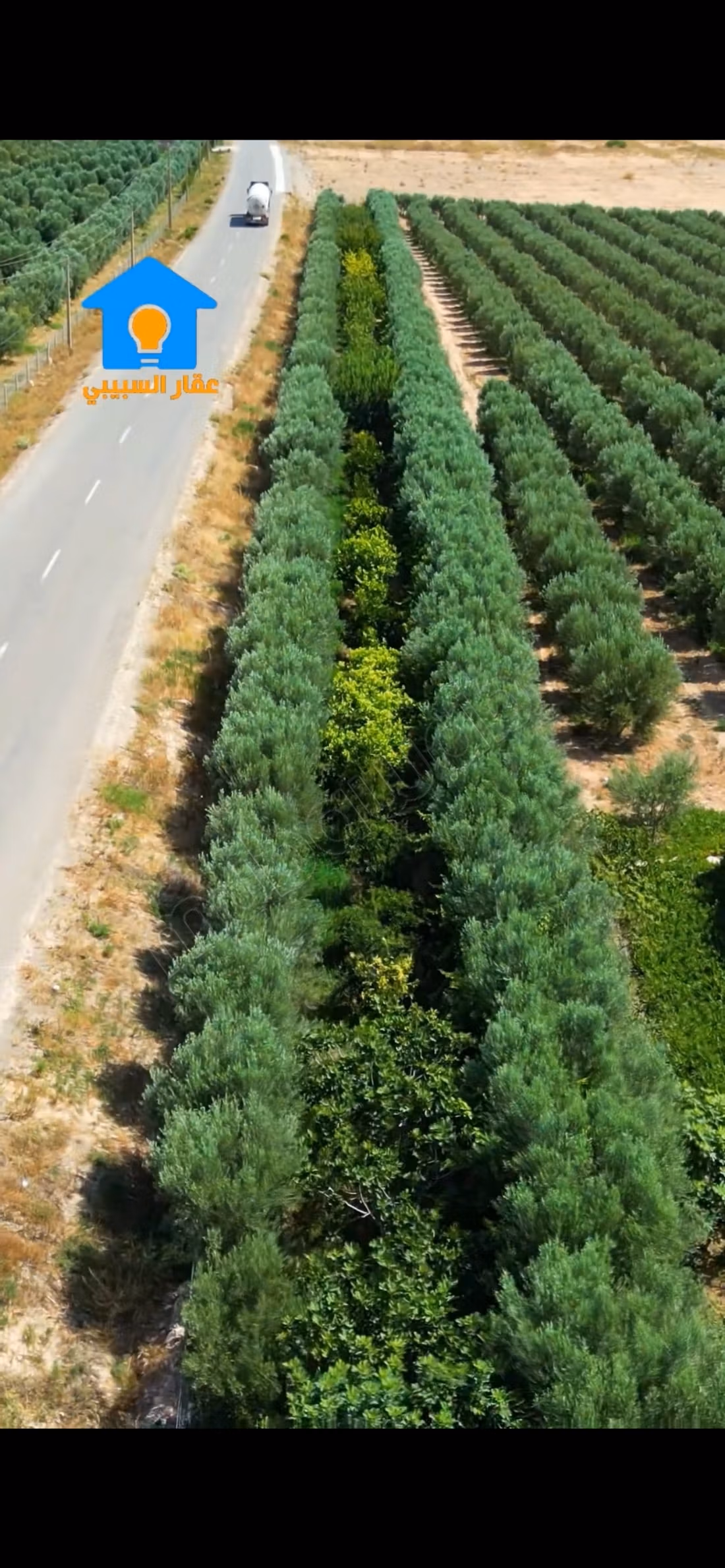 Bella fattoria in vendita nel centro della città. Superficie totale 50000 m². Sicurezza 24 ore su 24.