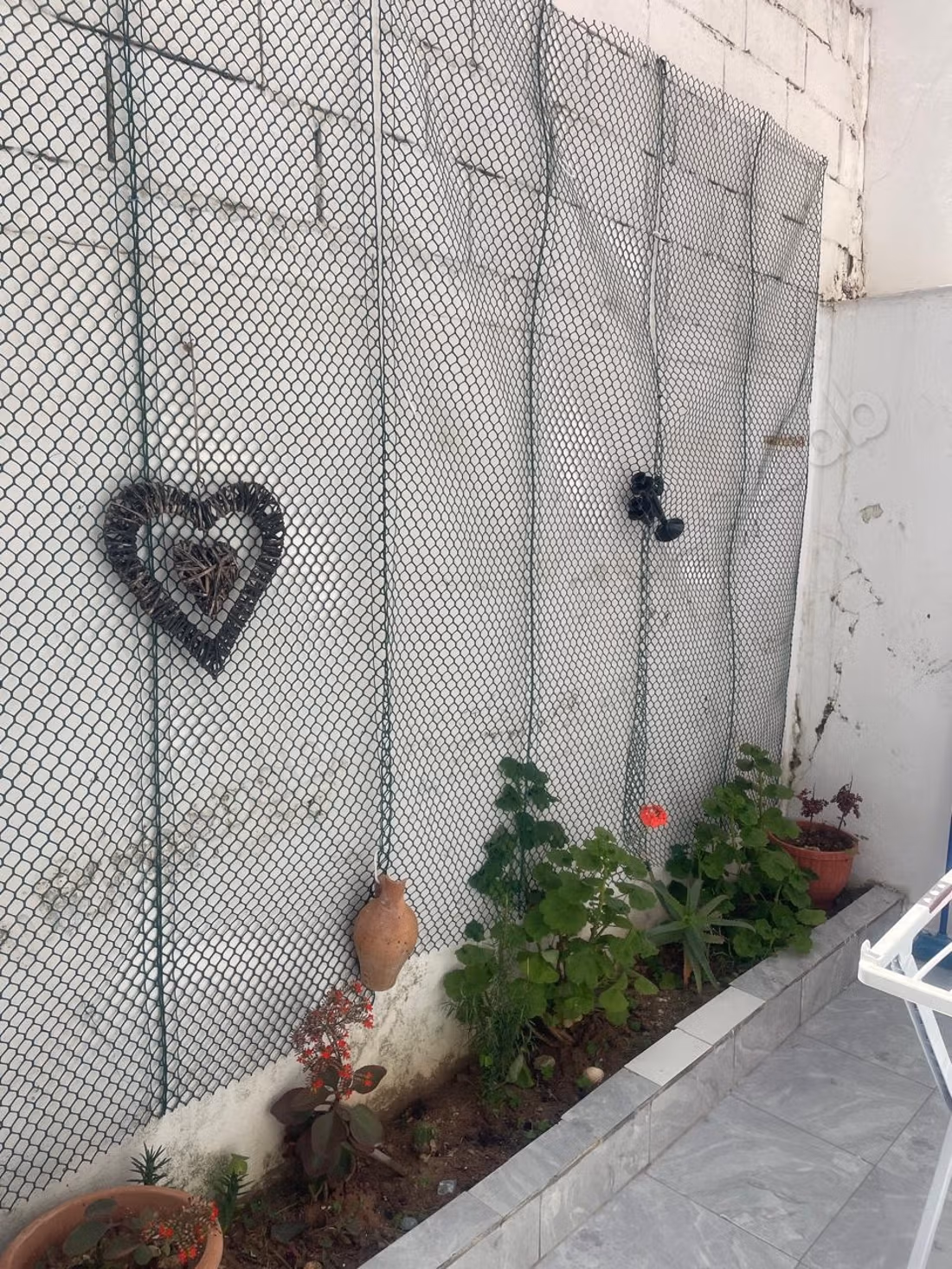 Furnished F3 apartment for rent in Hassan