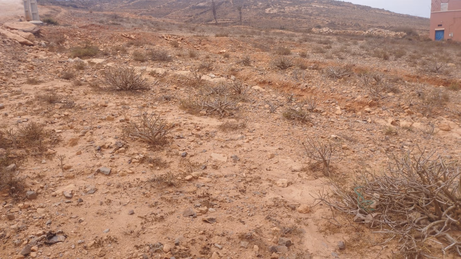 Large plot for sale in Mireleft