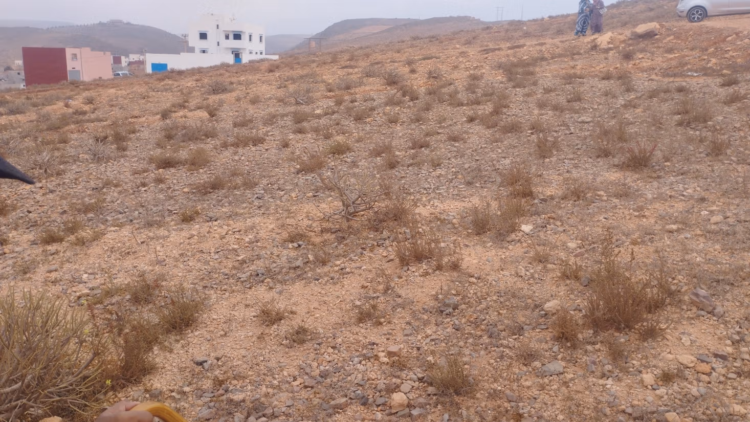 Large plot for sale in Mireleft