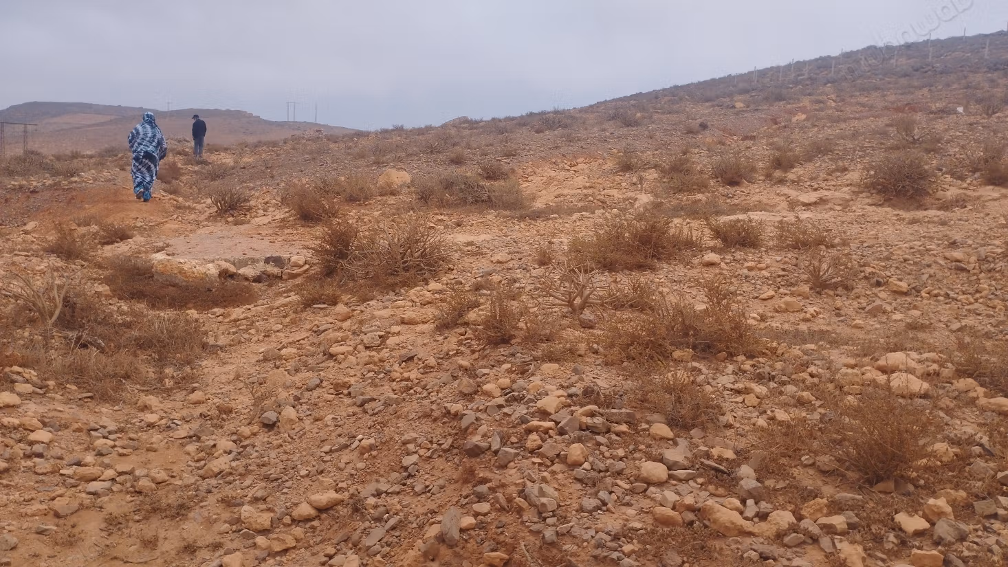 Terrain grand titre a vendre mireleft