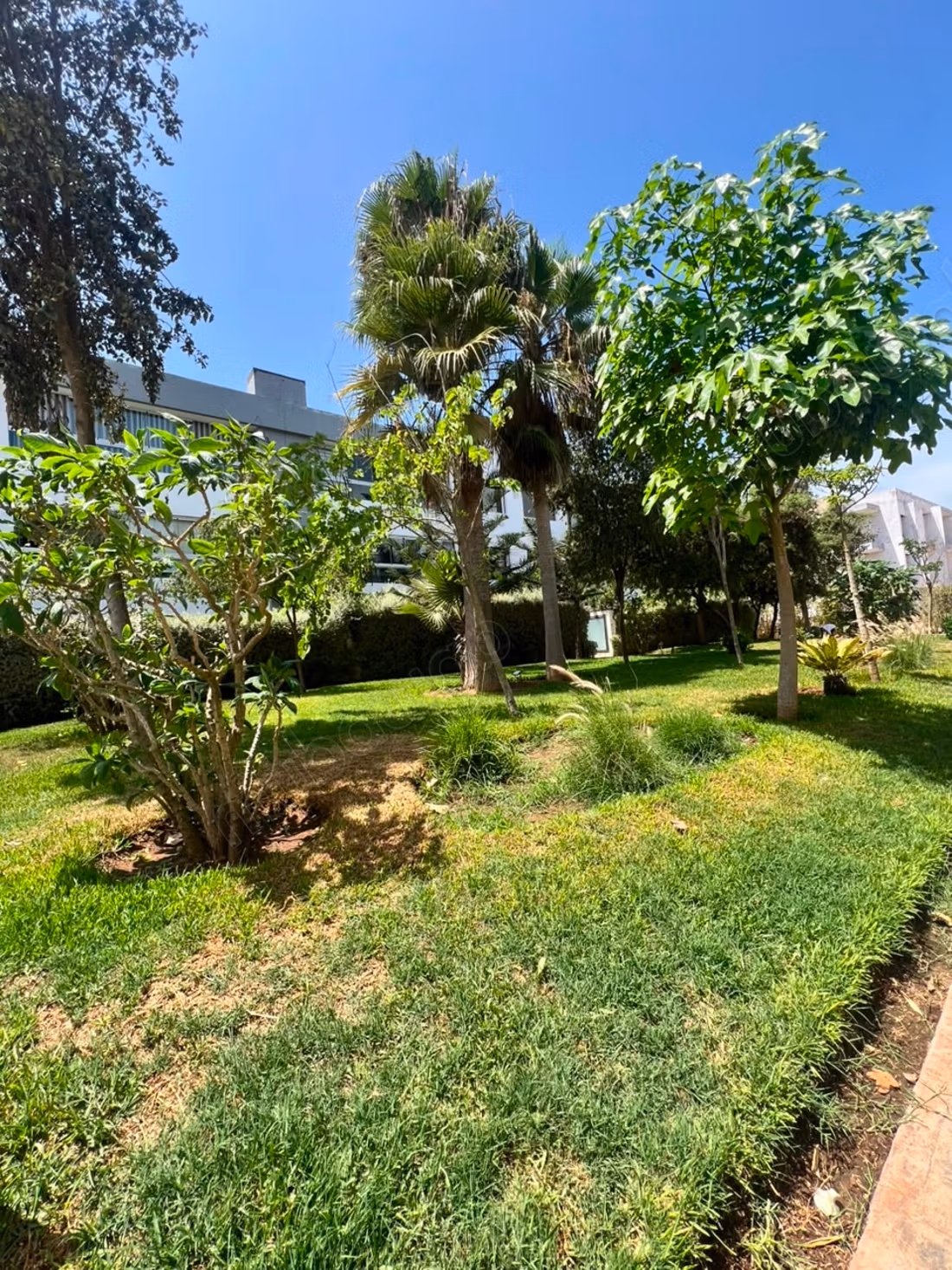 Magnifique rez de jardin 2 chambres à dar bouazza