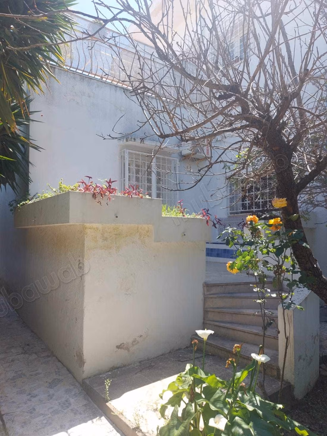 In vendita - villa spaziosa a Borj Zouara, Tunisi