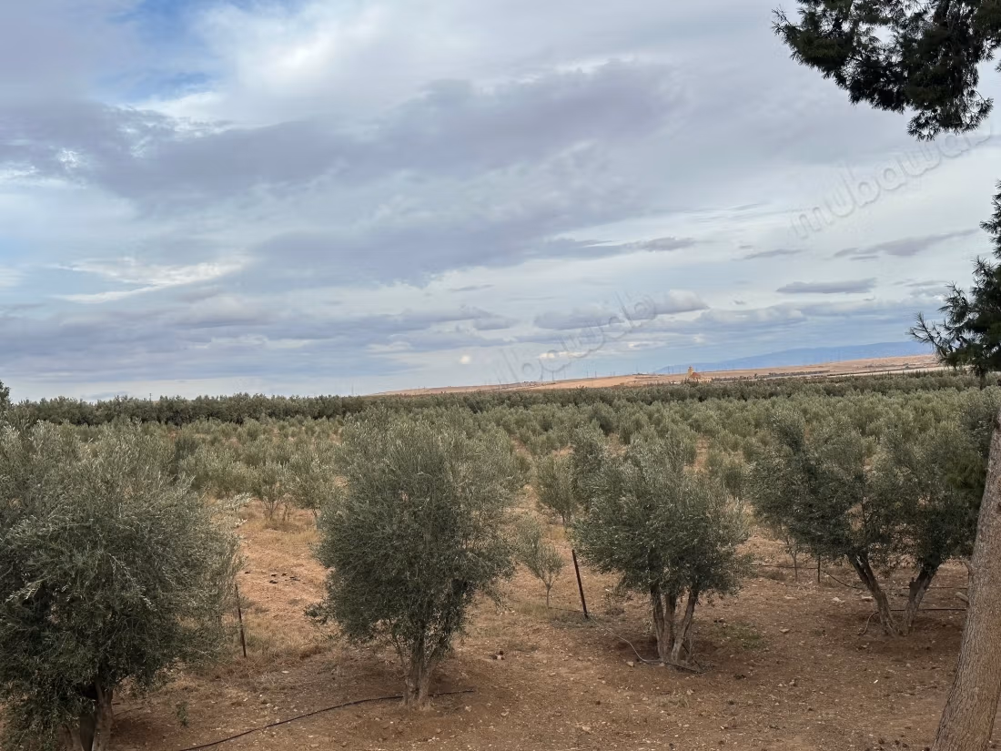 Ferme agricole à vendre – 24 hectares