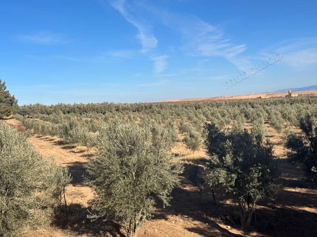 Ferme agricole à vendre – 24 hectares