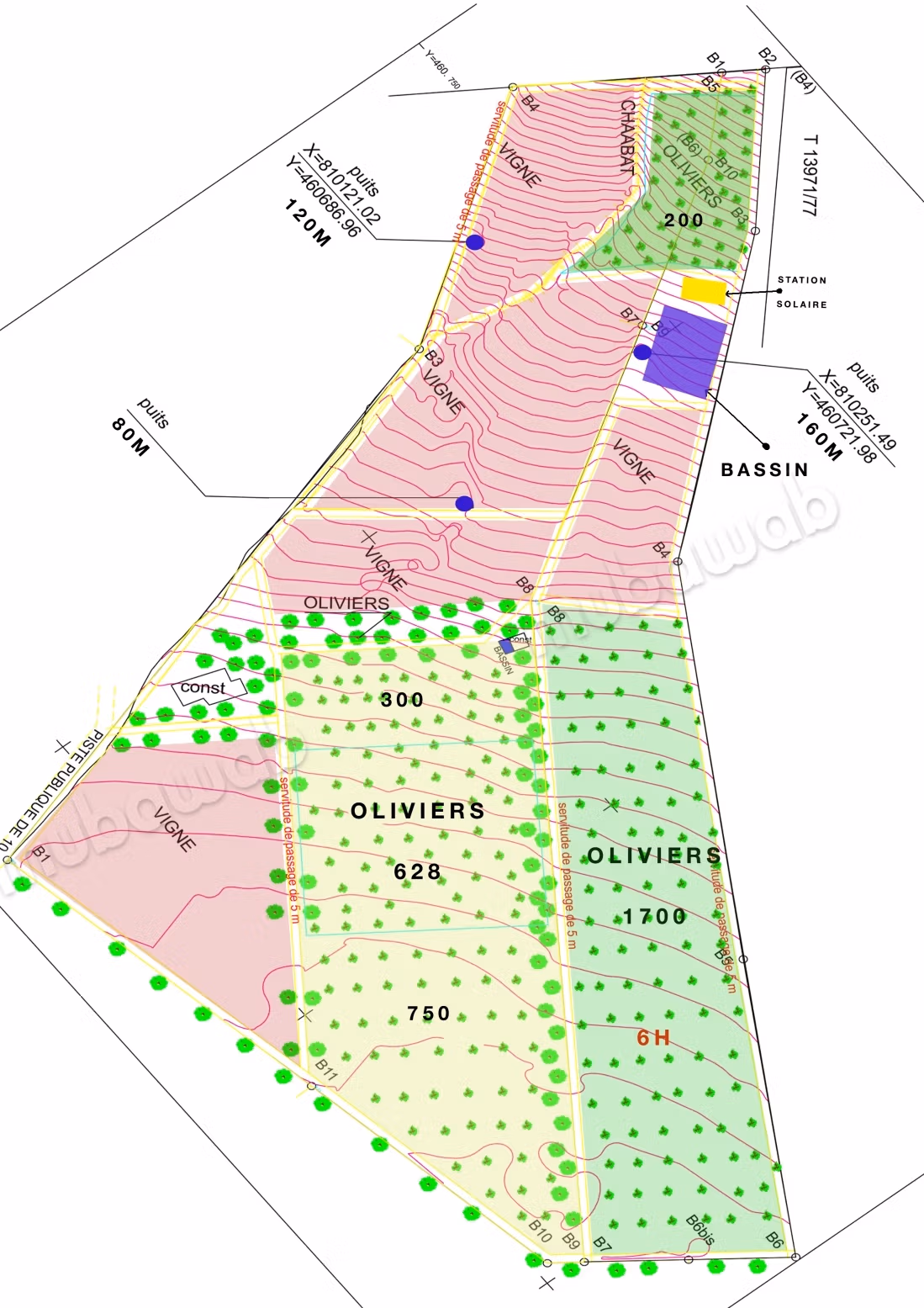 Ferme agricole à vendre – 24 hectares