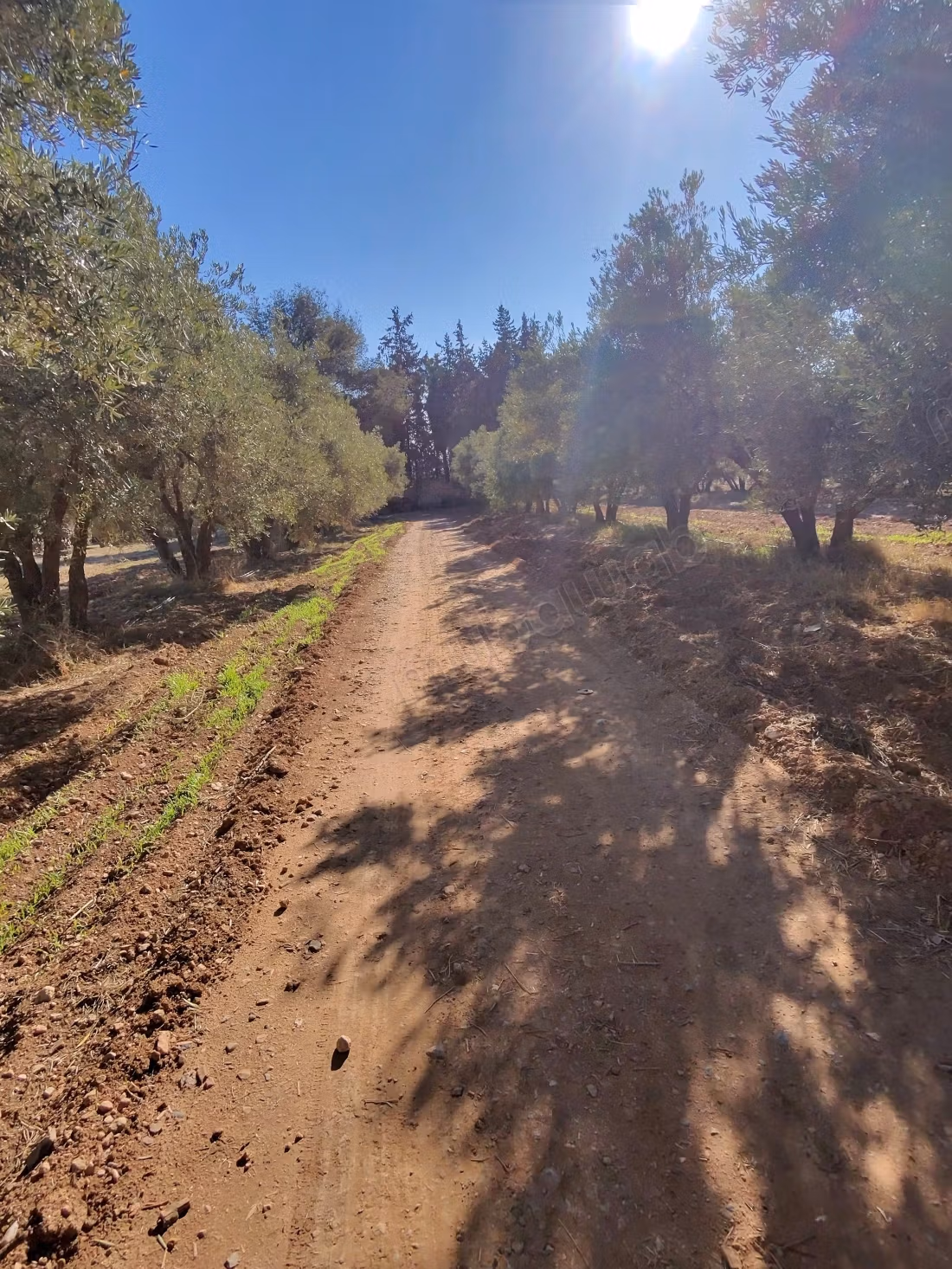 Ferme agricole à vendre – 24 hectares