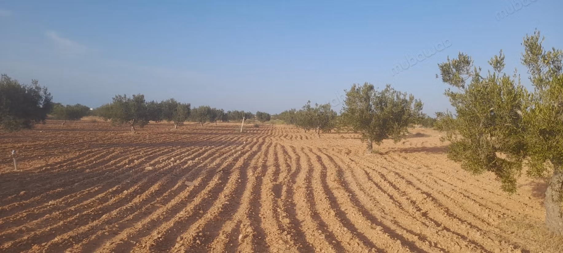 Terreno in vendita a Mellita Djerba