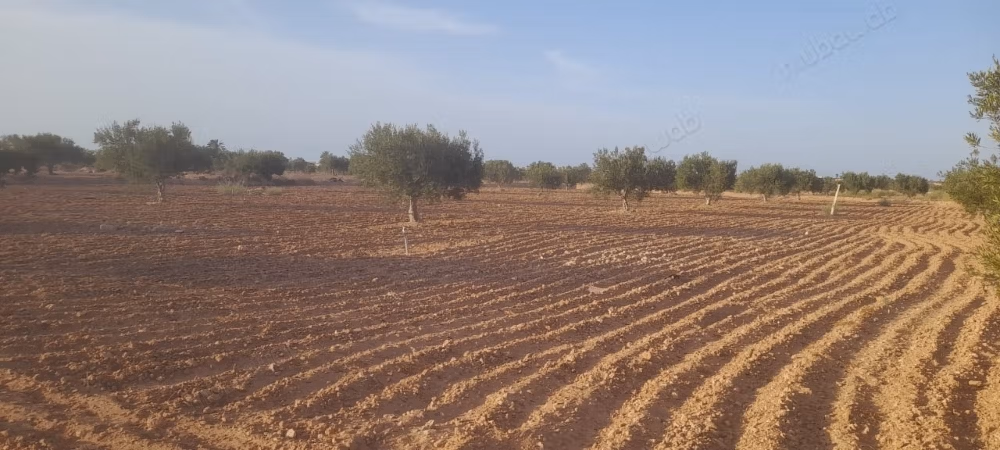 Terreno in vendita a Mellita Djerba