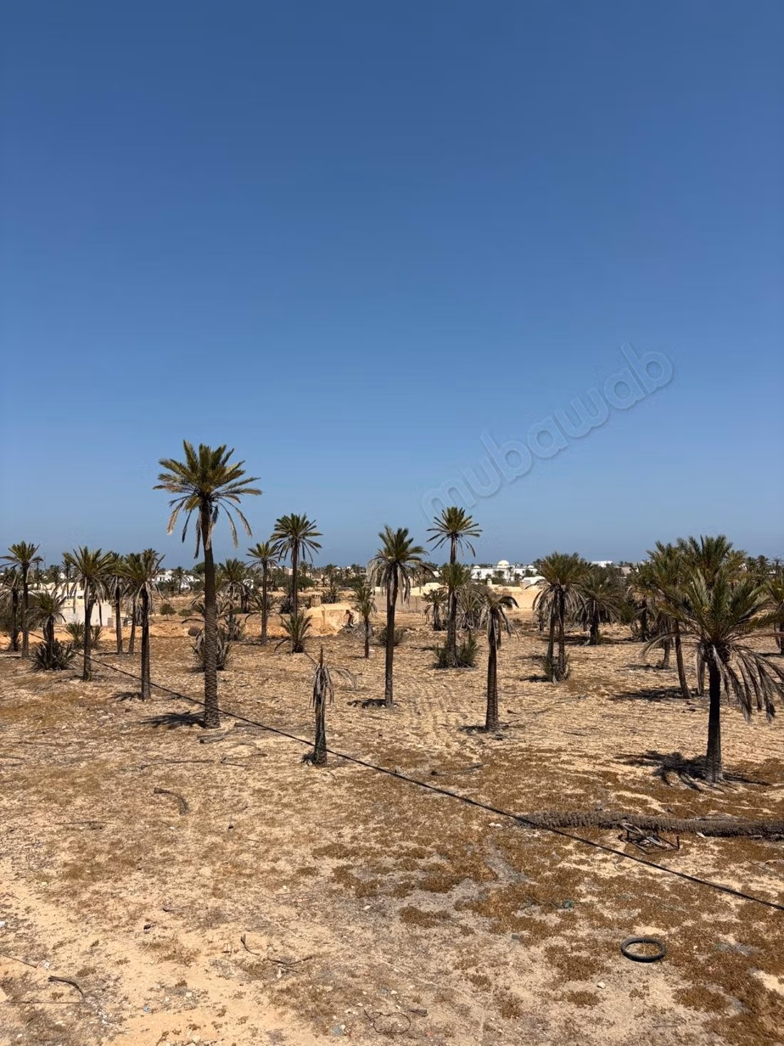 In vendita - Residenza autentica di Djerba a Midoun