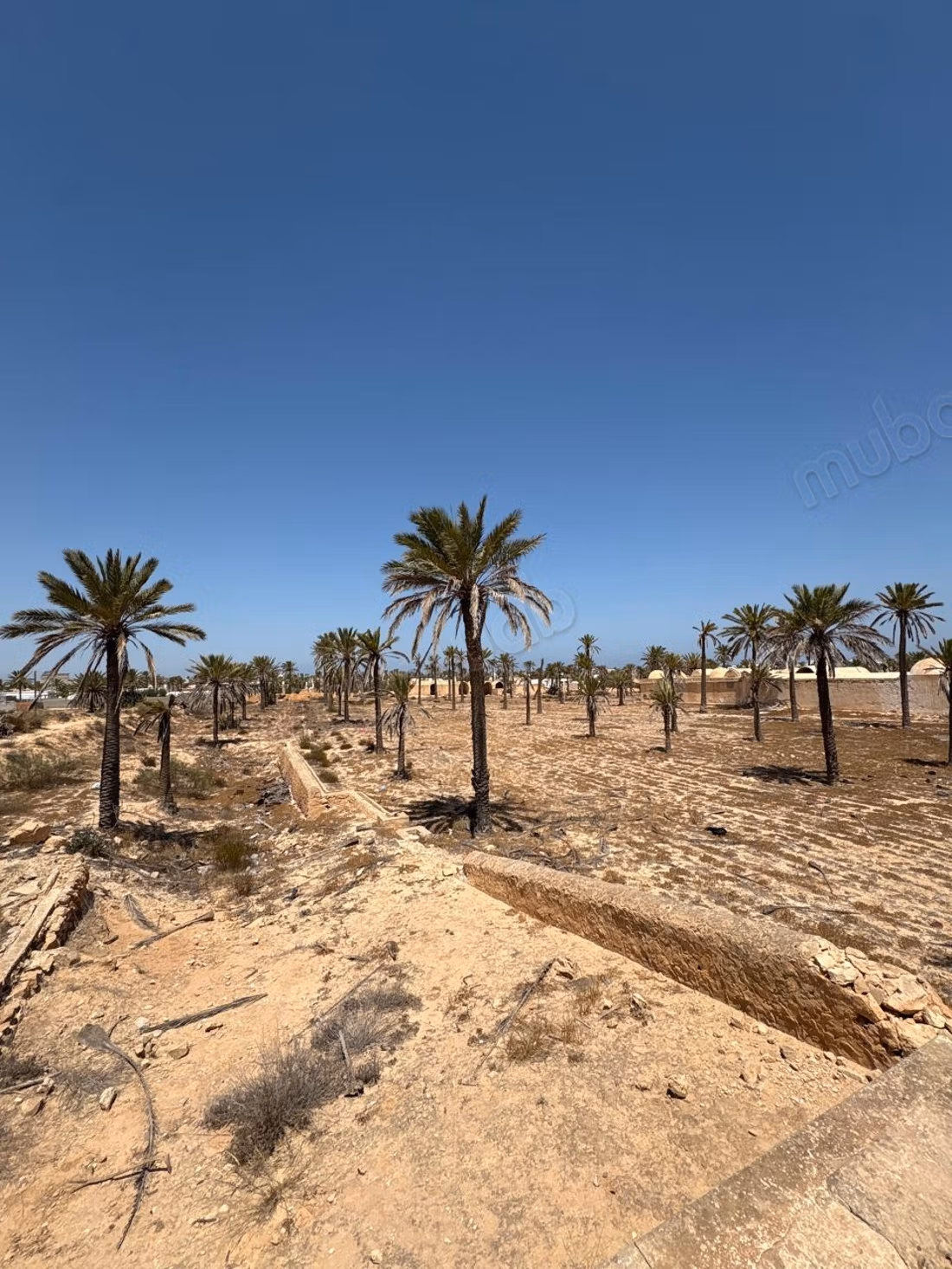 In vendita - Residenza autentica di Djerba a Midoun