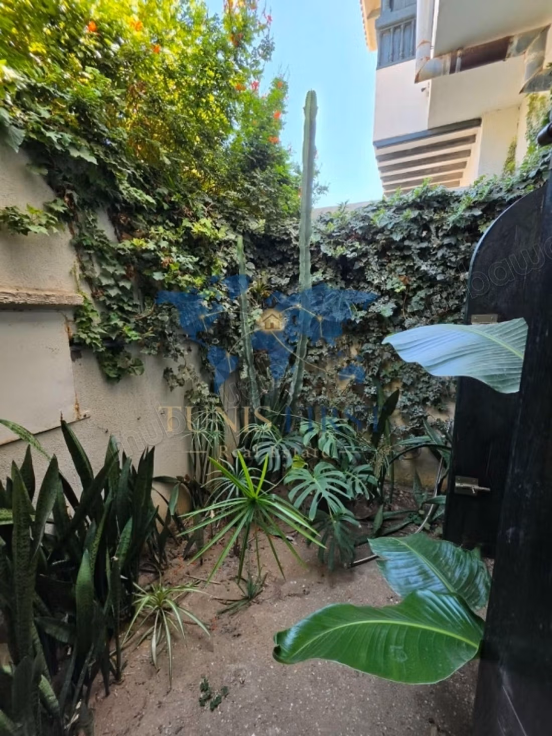 In Affitto Villa Lusso Ammobiliata a Cartagine