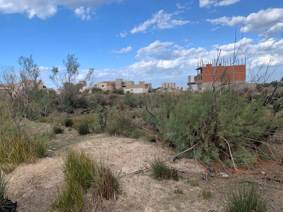 Individual land title, Building permit