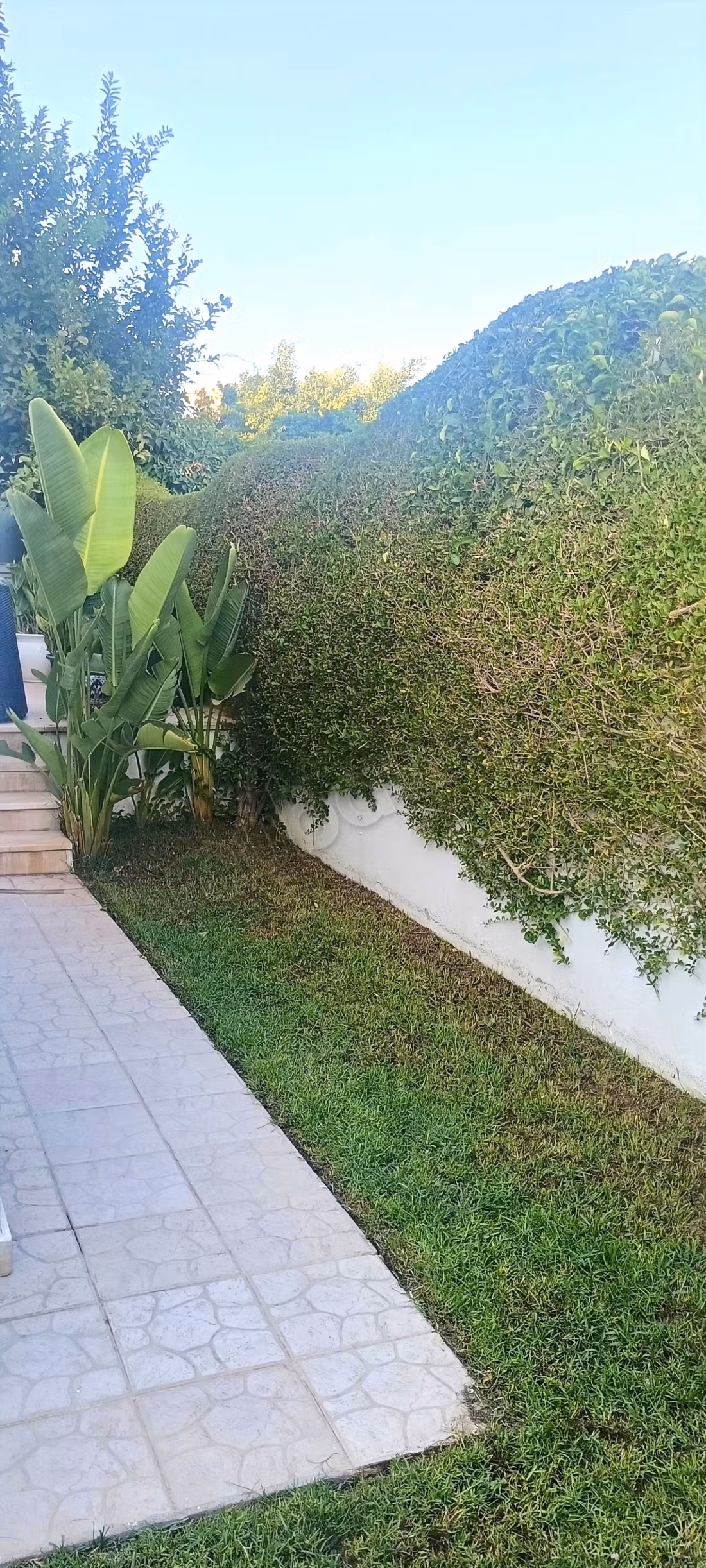 Duplex S3 avec jardin, Cité El Khalil, La Marsa