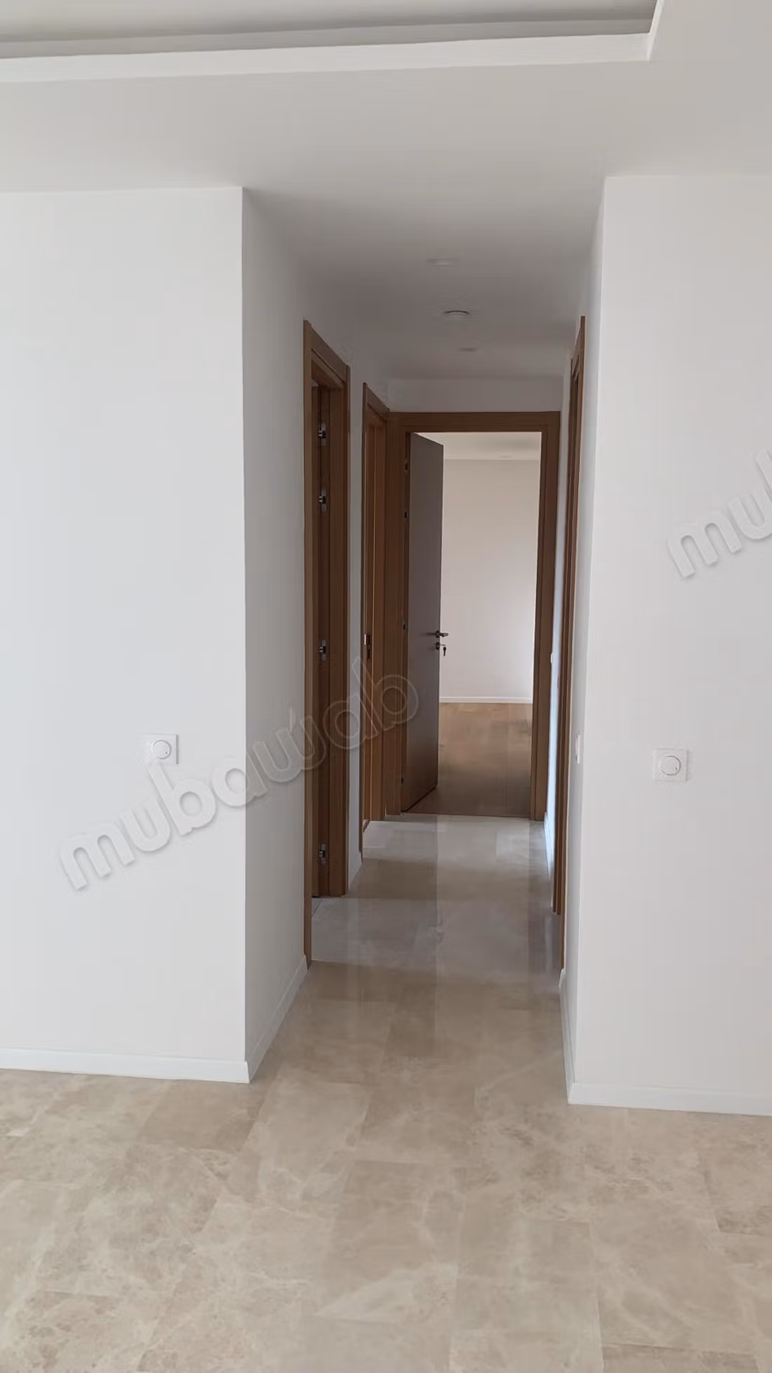 شقة