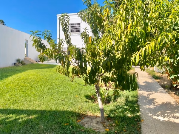 In affitto villa S4 con giardino a Cartagine