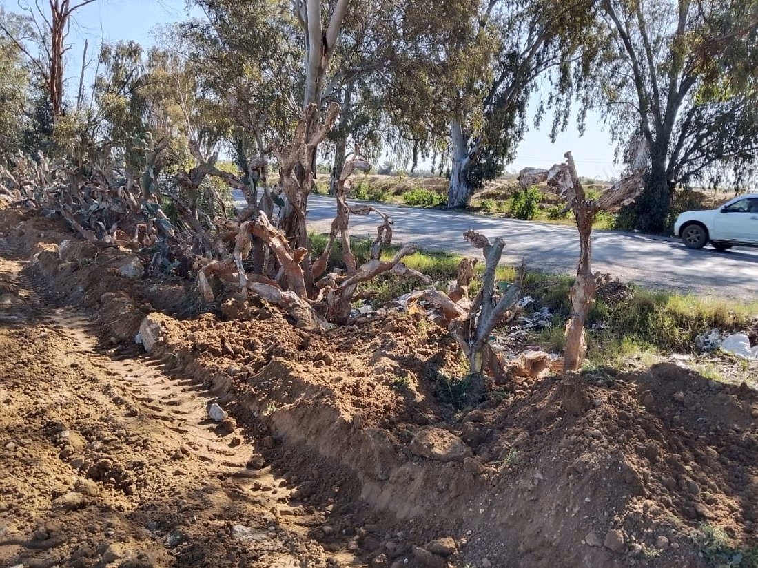 Terreno in vendita ideale per investimento