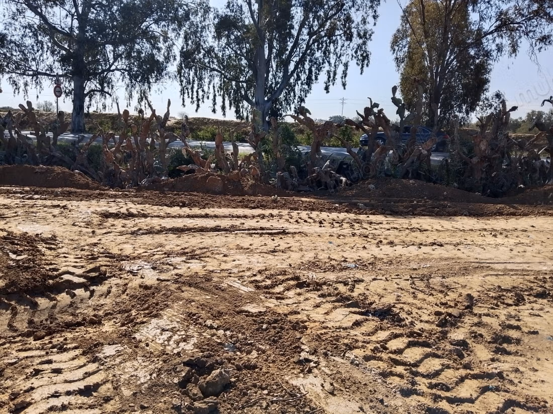 Terreno in vendita ideale per investimento