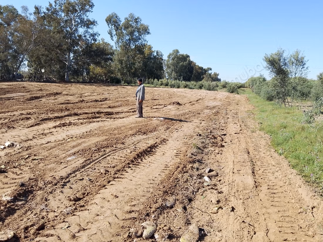 Terreno in vendita ideale per investimento