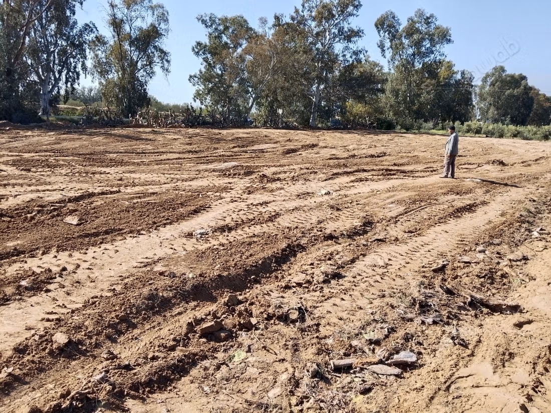 Terreno in vendita ideale per investimento