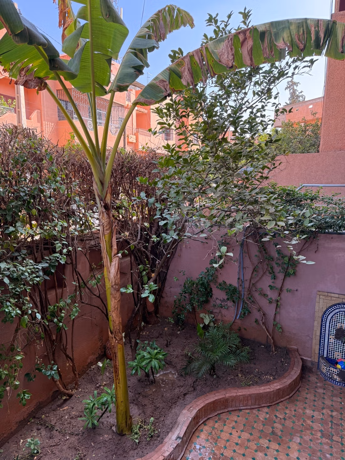 Piano terra di villa in affitto arredato