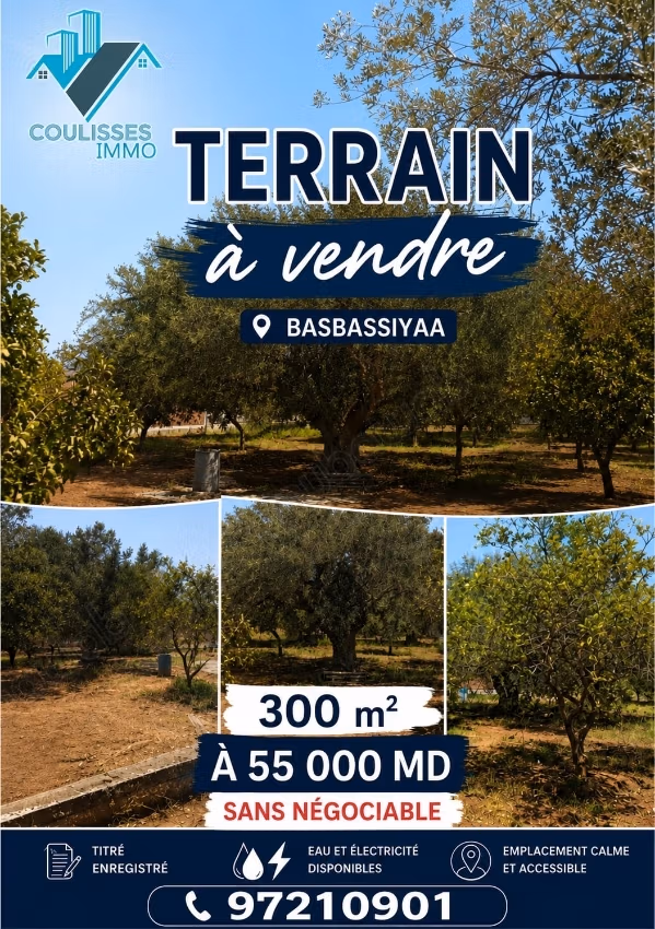 Terrain à vendre – Basbassiyaa