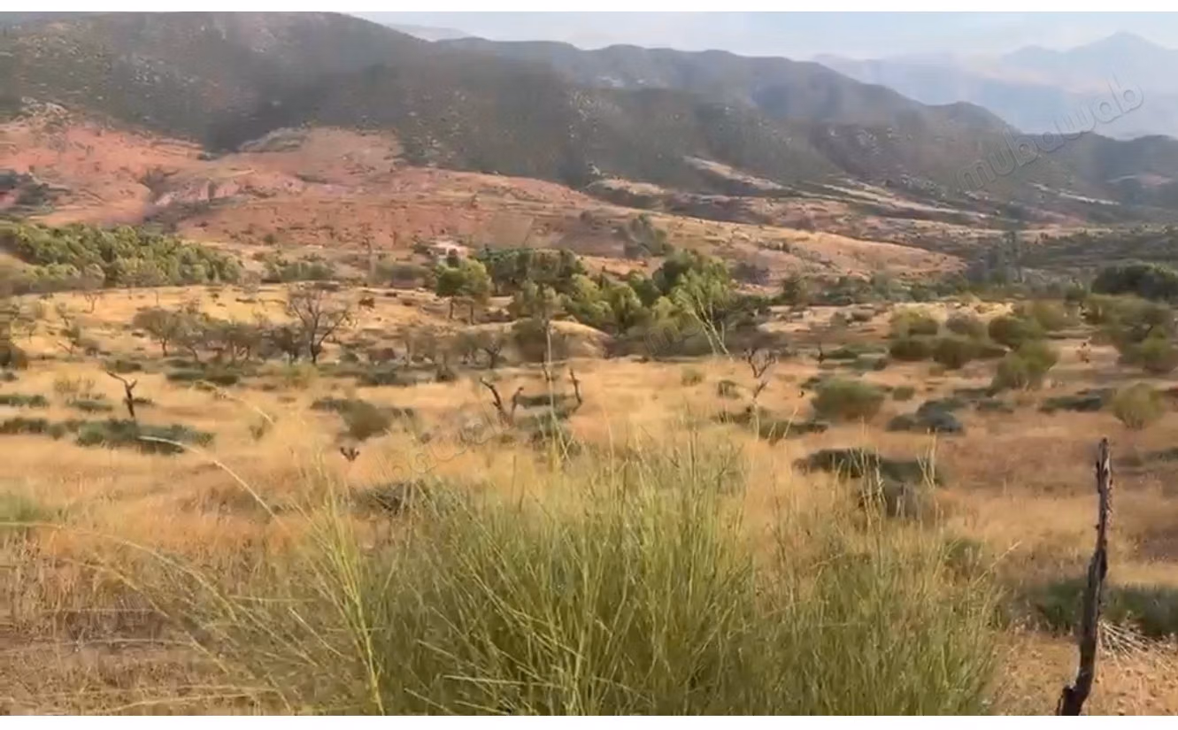 En venta – 6,62 ha titulados en Tnine Ourika, frente a la villa E – vista panorámica del Atlas y el valle – potencial turístico