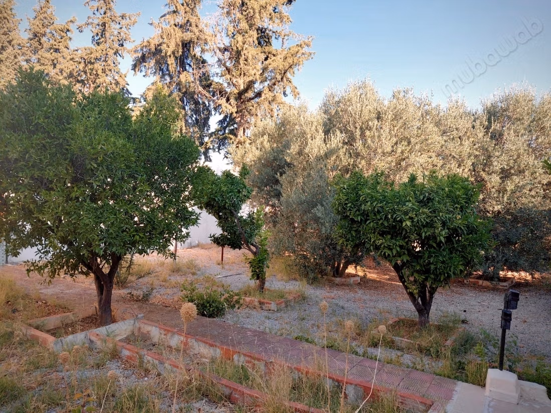 Casa in vendita a Zaghouan - Vicino al Tempio delle Acque di Zaghouan
