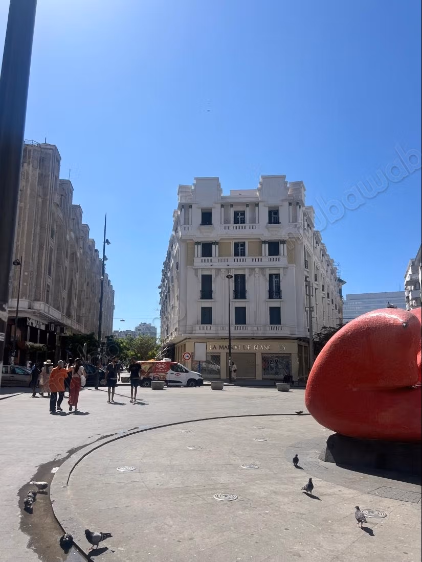 Grand Appart art déco Centre ville