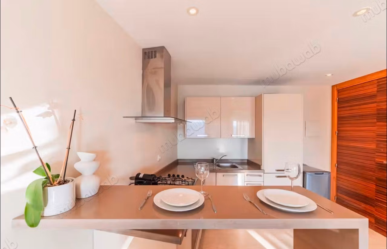 Studio meublé avec terrasse sans vis à vis au princesses 49m2