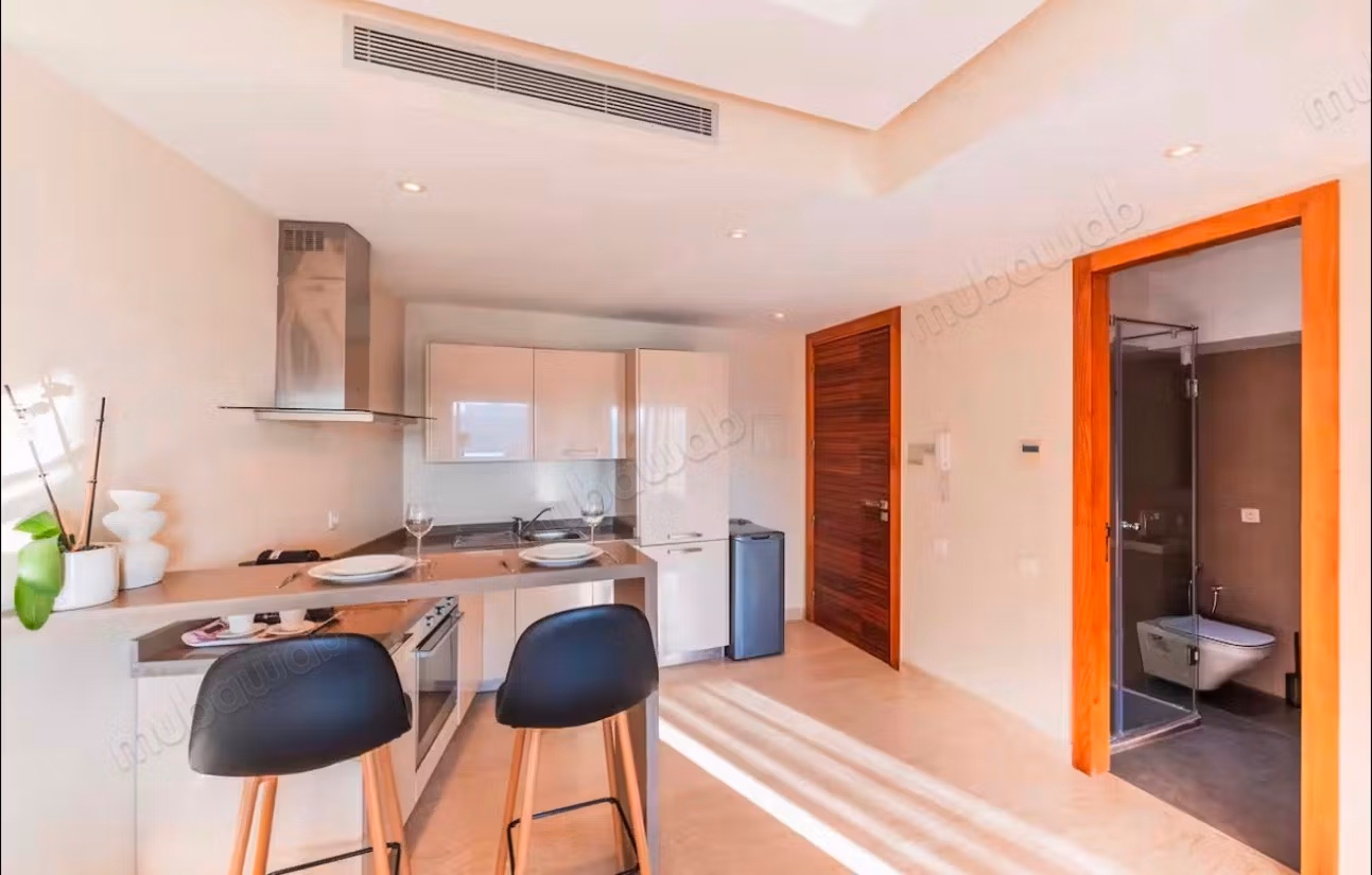 Studio meublé avec terrasse sans vis à vis au princesses 49m2