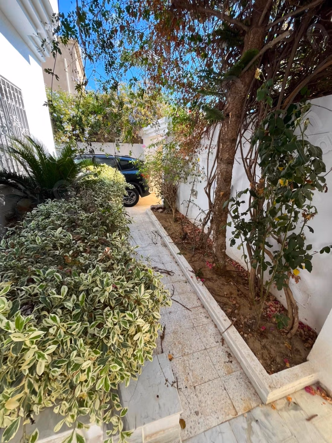 RDC de villa s4 aux Jardins de Carthage