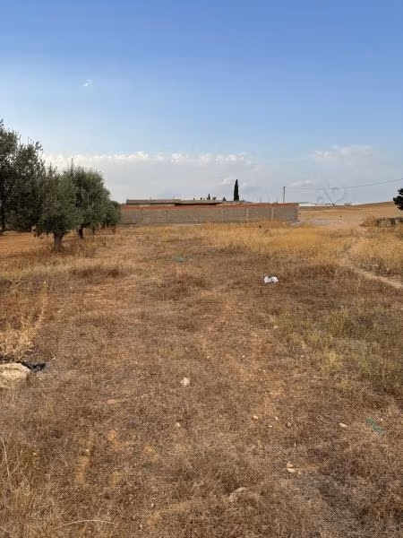 Land for sale _ La Mornaguia