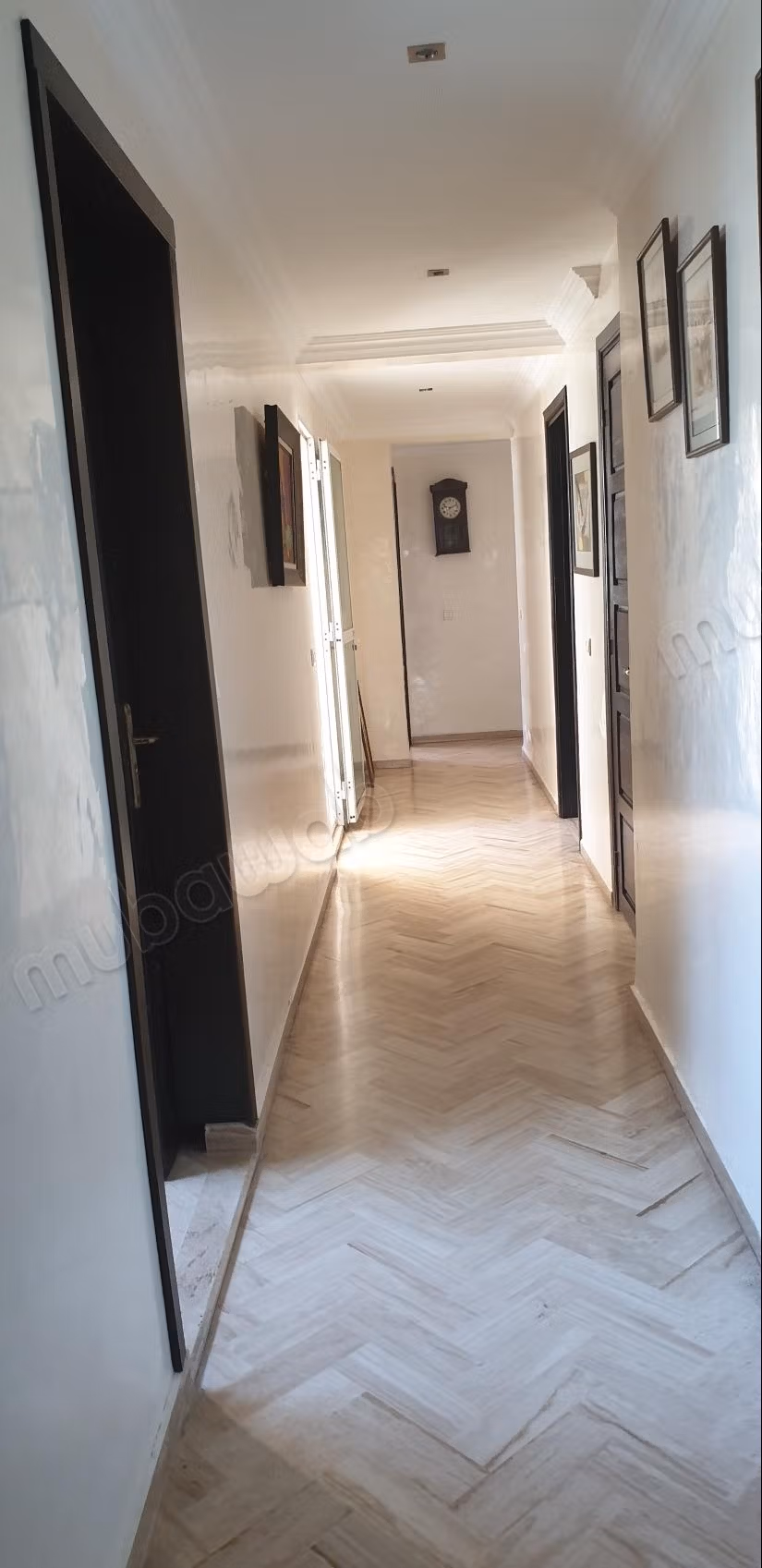 Grand appartement sans vis a vis