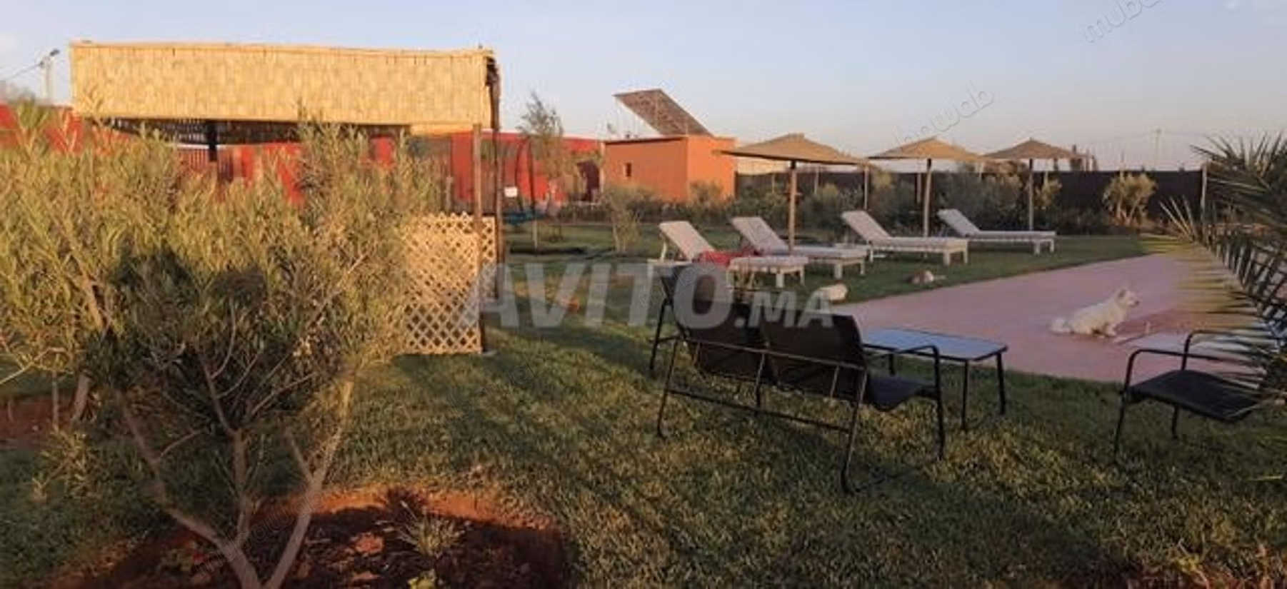 Villa piscine et terrain agricole 8900m² Issen