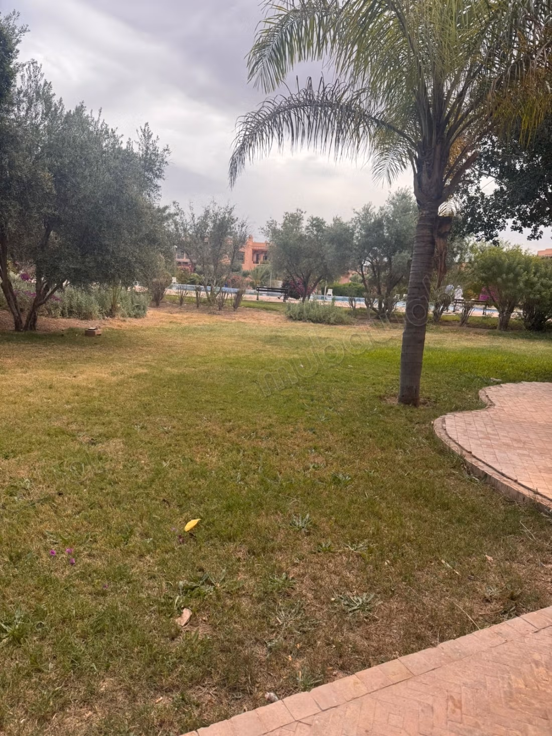 Appartement rez de jardin vue piscine